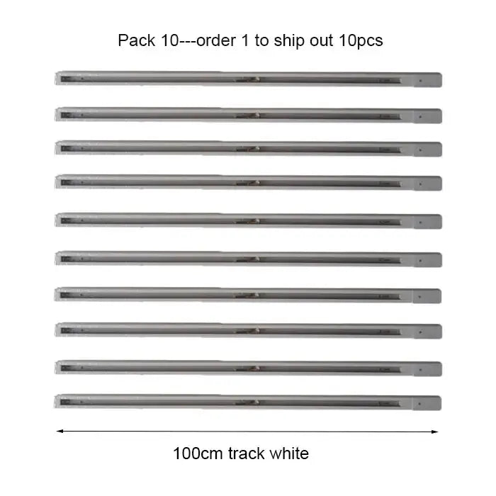 Black White Track Light