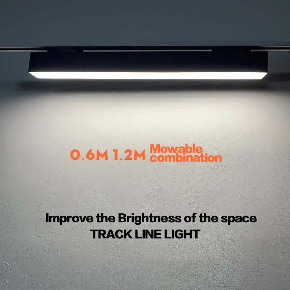 Black Linear Track Light