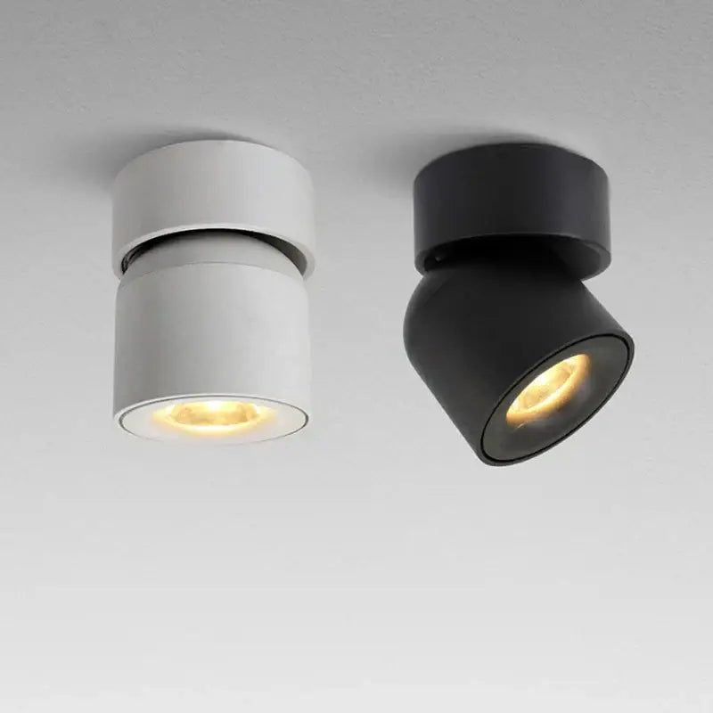 Black Adjustable LED Downlight for Living Rooms