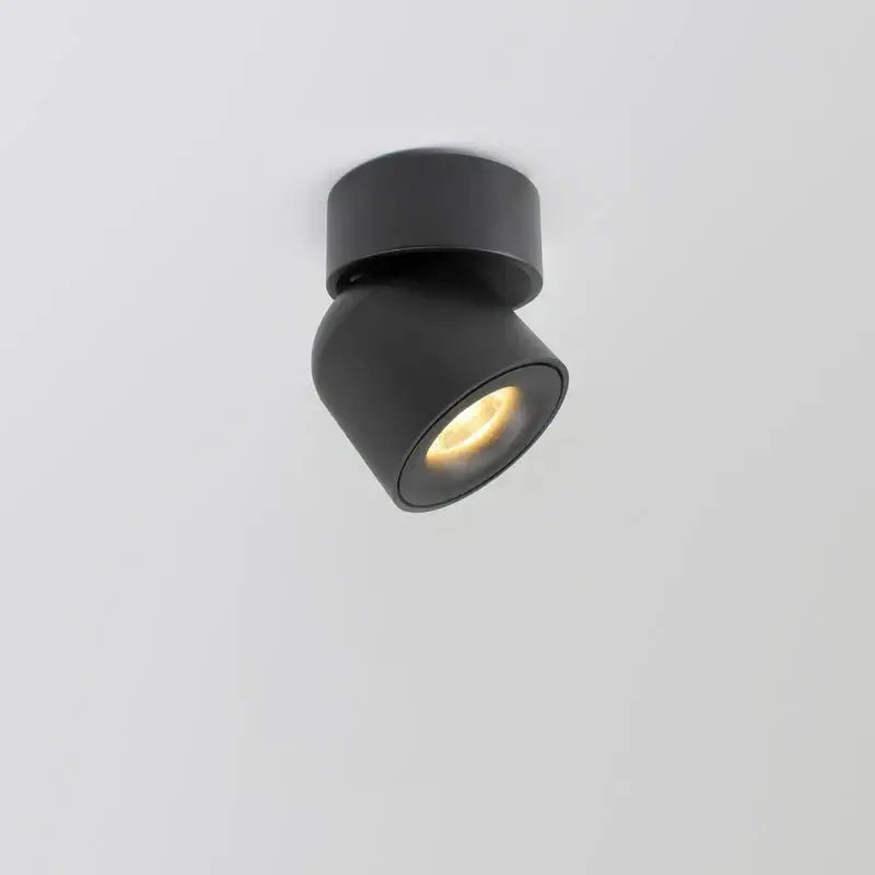 Black Adjustable LED Downlight for Living Rooms