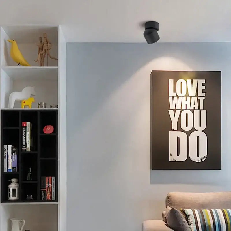 Black Adjustable LED Downlight for Living Rooms