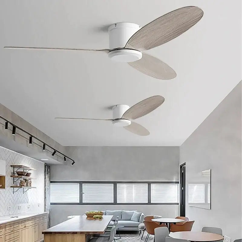 Black Brown Ceiling Fan