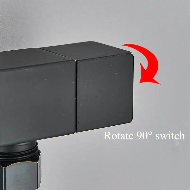 Black Brass Bidet Faucet