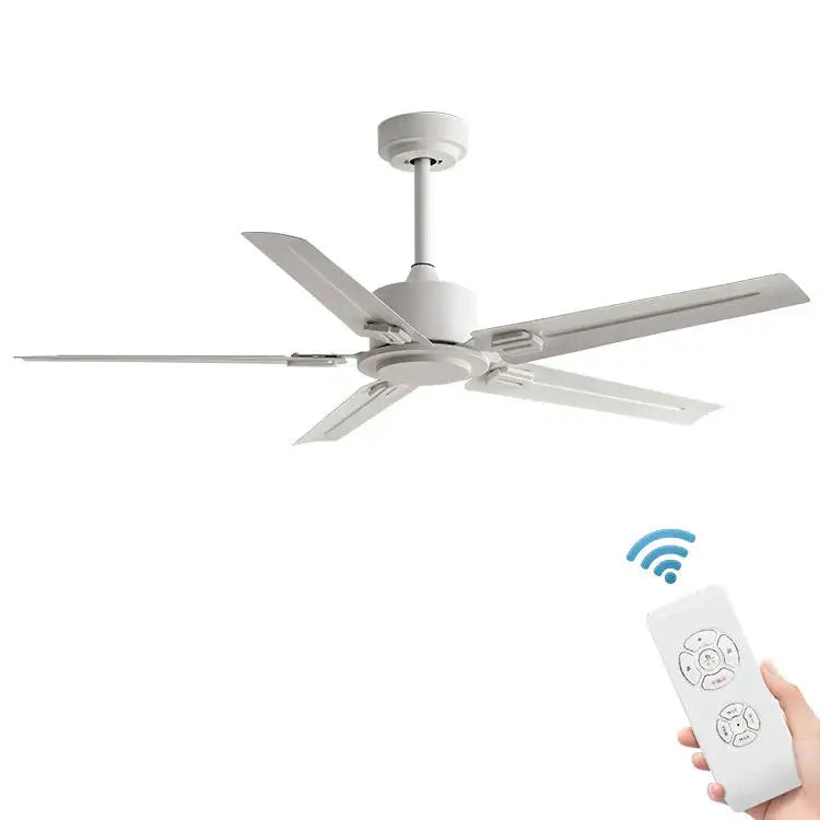 Black DC Motor Fan