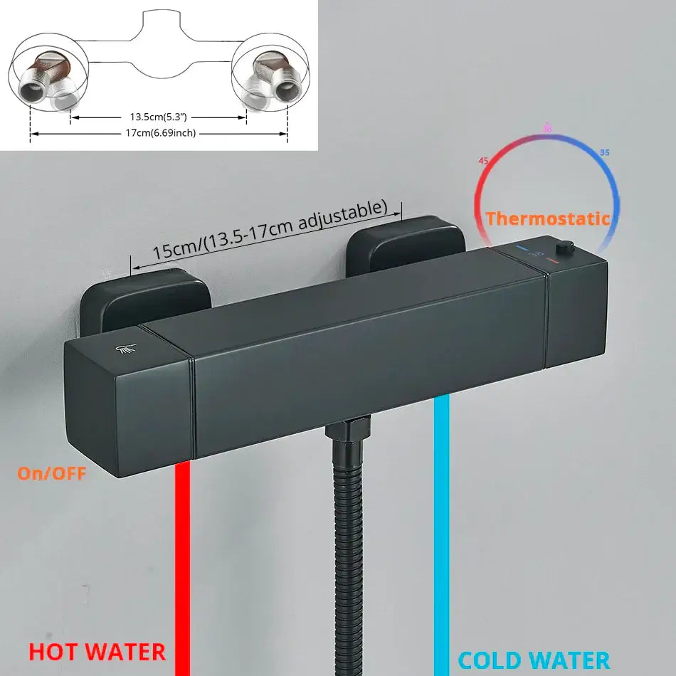 Black Chrome Thermostatic Shower