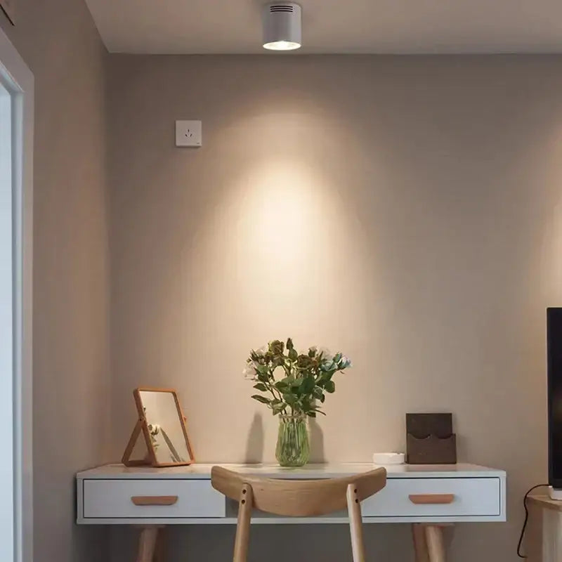 Black Pendant Ceiling Spotlight