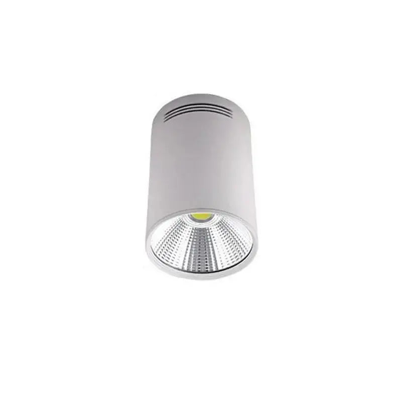 Black Pendant Ceiling Spotlight