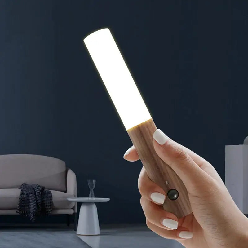 Black Frosted Glass Sconce Three-Color Dimming