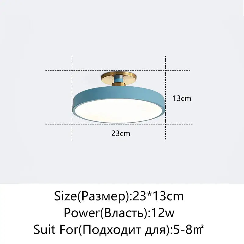 Black Circular Ceiling Light
