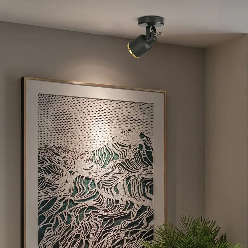 Black Gold Ceiling Spotlight