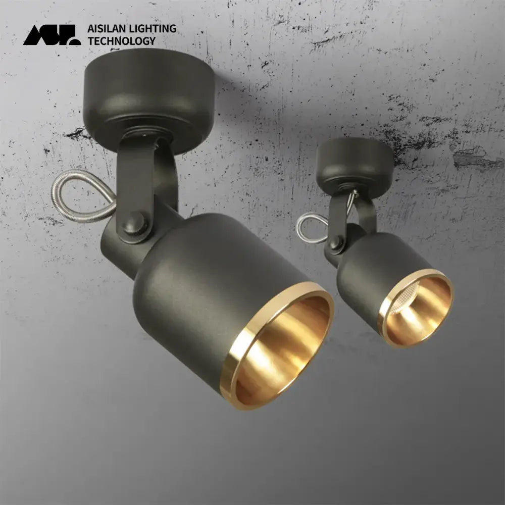 Black Gold Ceiling Spotlight