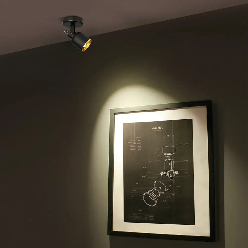 Black Gold Ceiling Spotlight