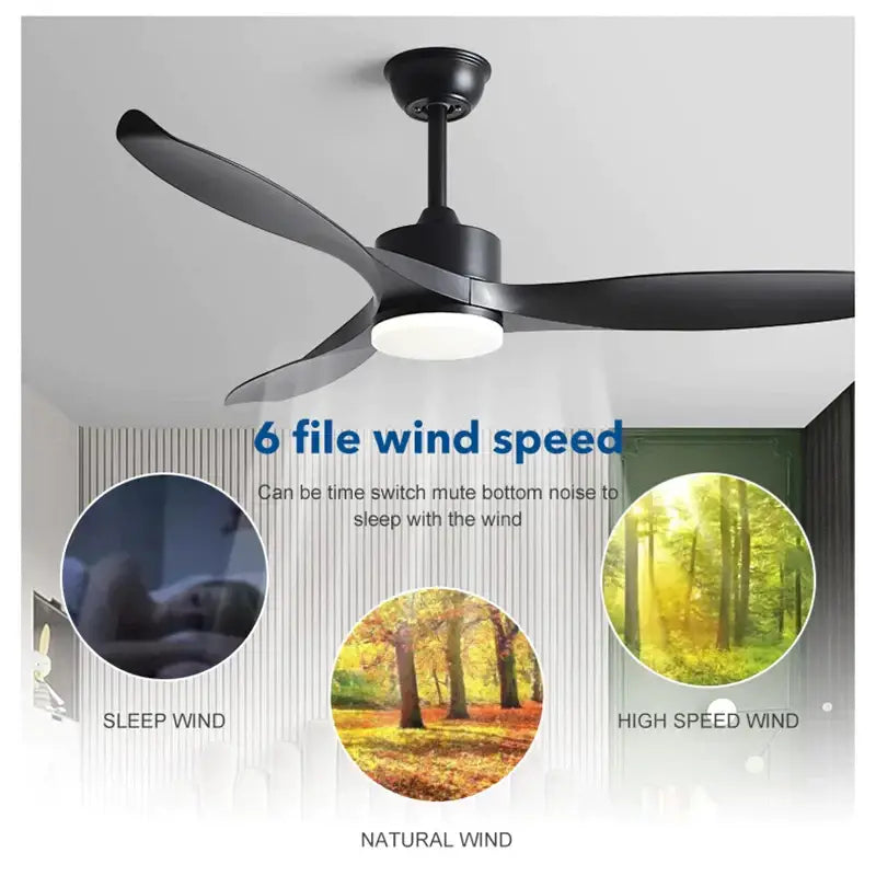 Black Copper Ceiling Fan