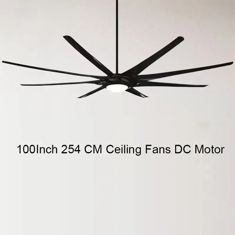 Black Stainless Ceiling Fan