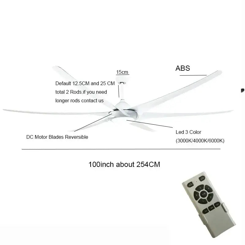 Black Stainless Ceiling Fan