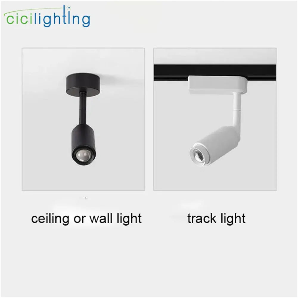 Black Track Spotlight