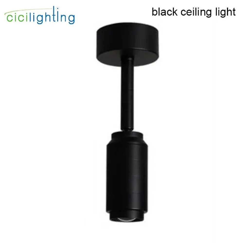 Black Track Spotlight