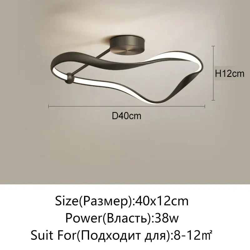 Black Infinity Ceiling Light