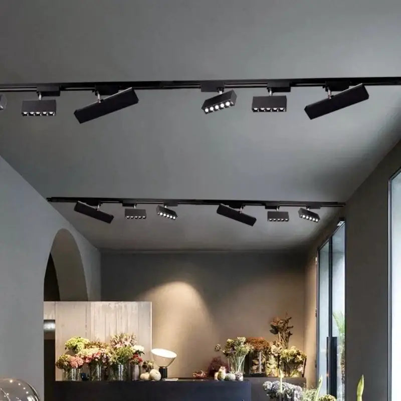 Black Linear Adjustable Track Light