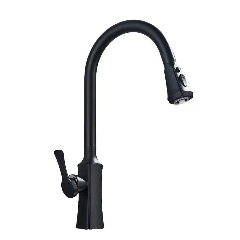 Gold Pull Out Faucet