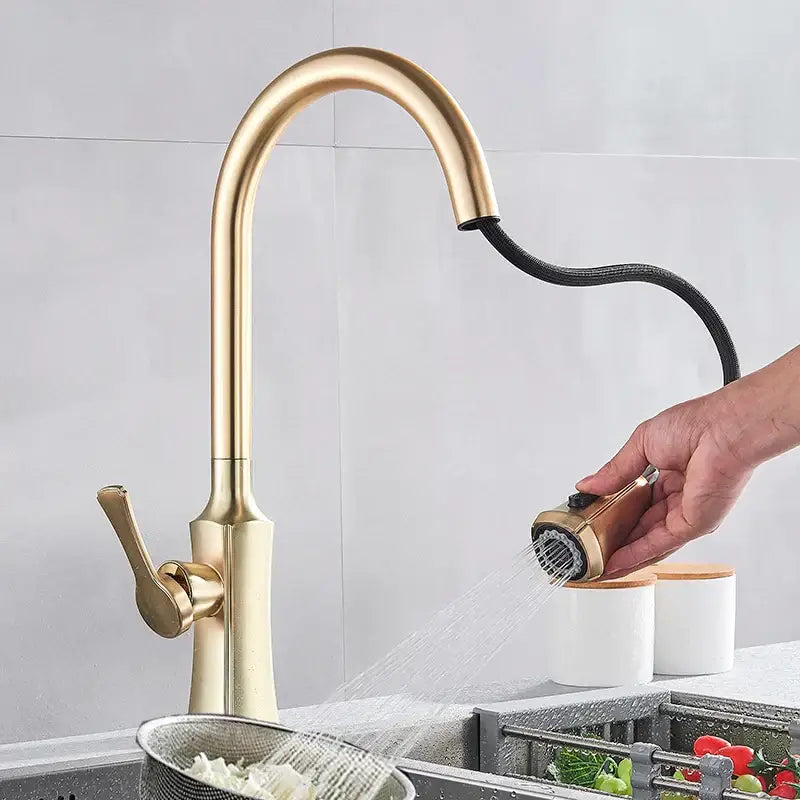 Gold Pull Out Faucet