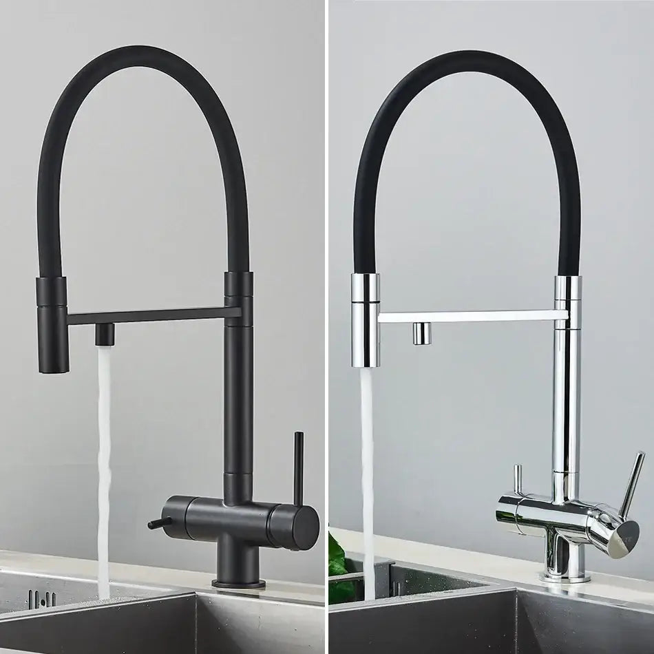 Chrome Black Dual Faucet