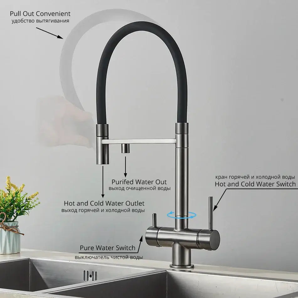 Chrome Black Dual Faucet
