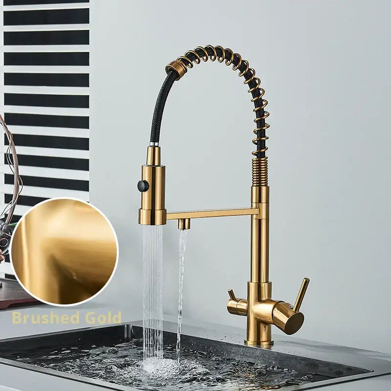 Chrome Black Dual Faucet