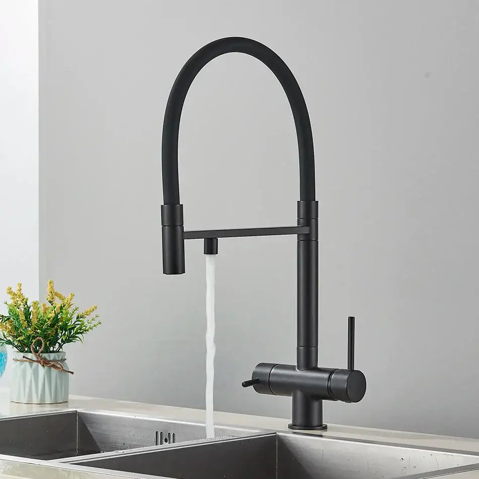 Chrome Black Dual Faucet