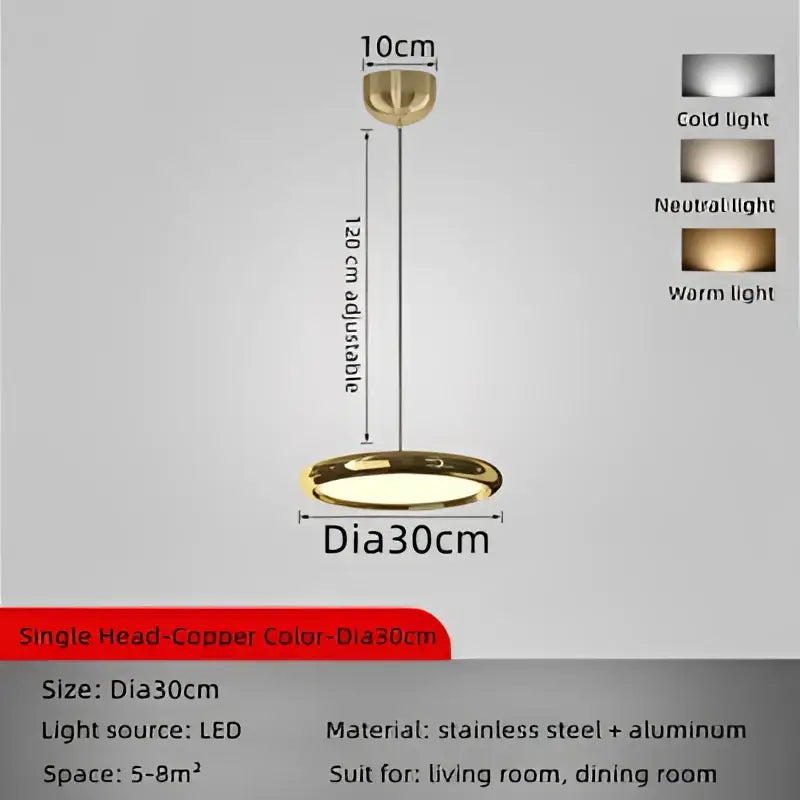 Chrome Circular Pendant Light