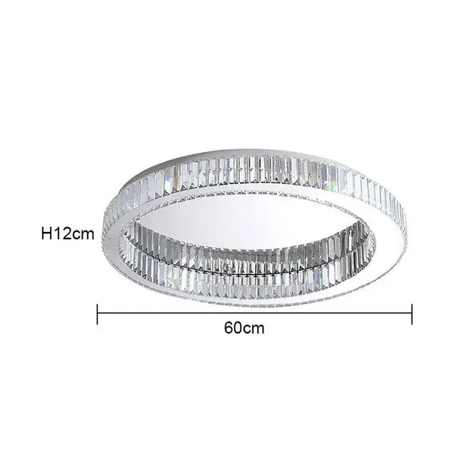 Chrome Double Ring Light