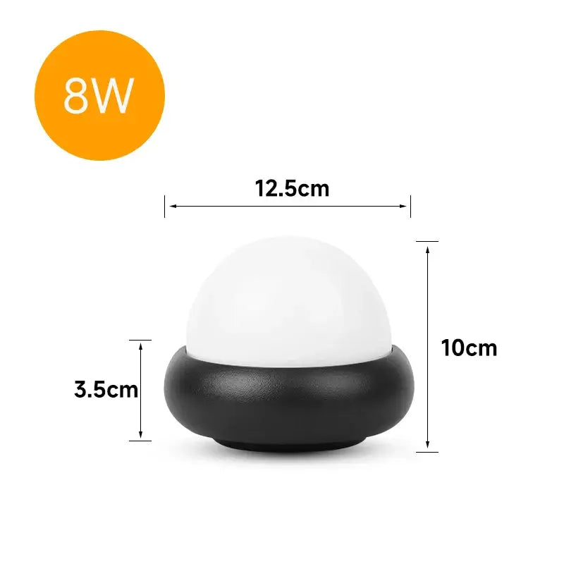 Black Acrylic LED Wall Light