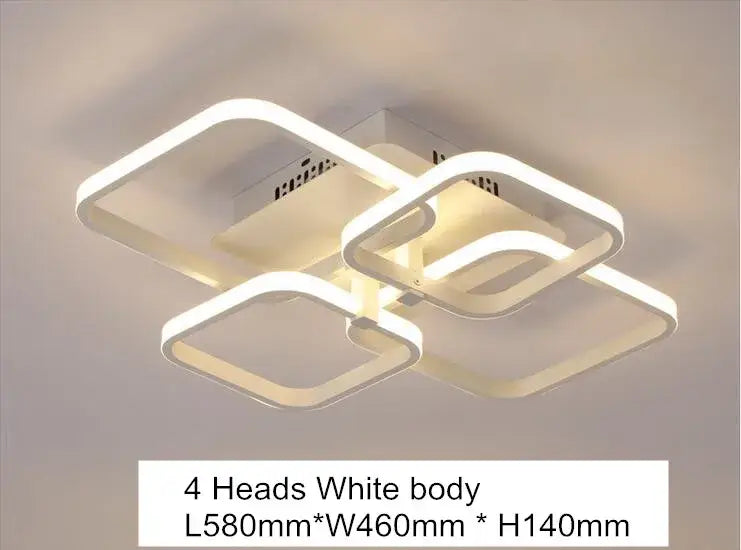 Acrylic Ring Ceiling Light