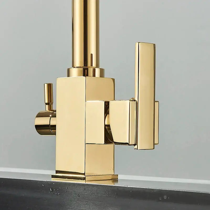 Gold Dual Outlet Kitchen Faucet