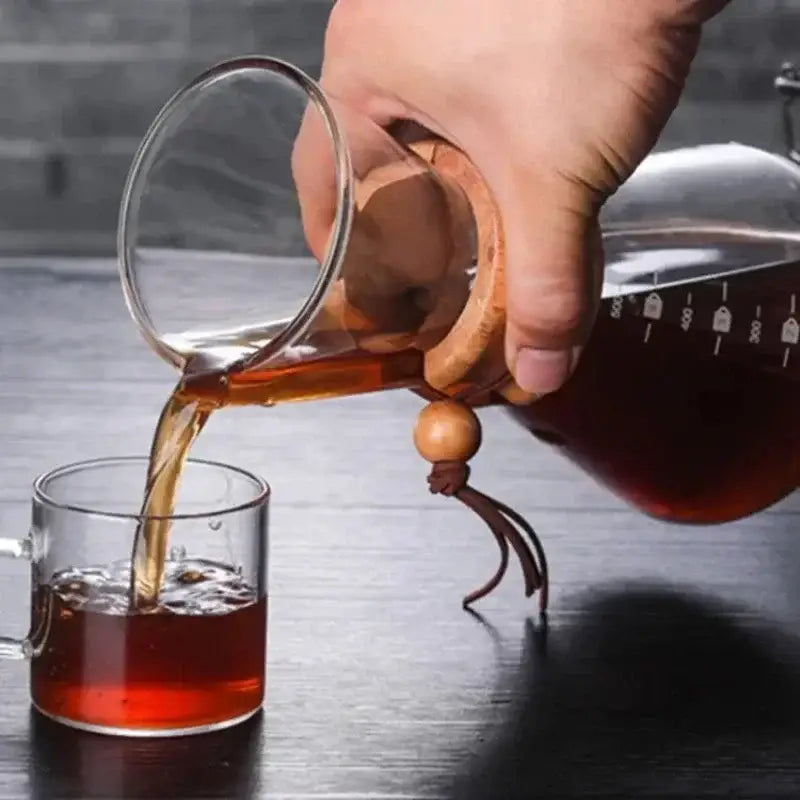 Glass Steel Coffee Kettle