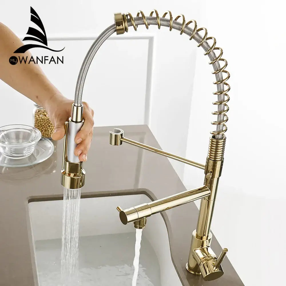 Gold Spring Kitchen Faucet