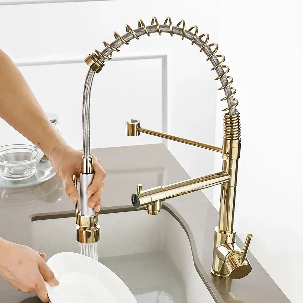 Gold Spring Kitchen Faucet
