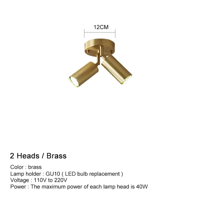 Brass Adjustable Ceiling Light