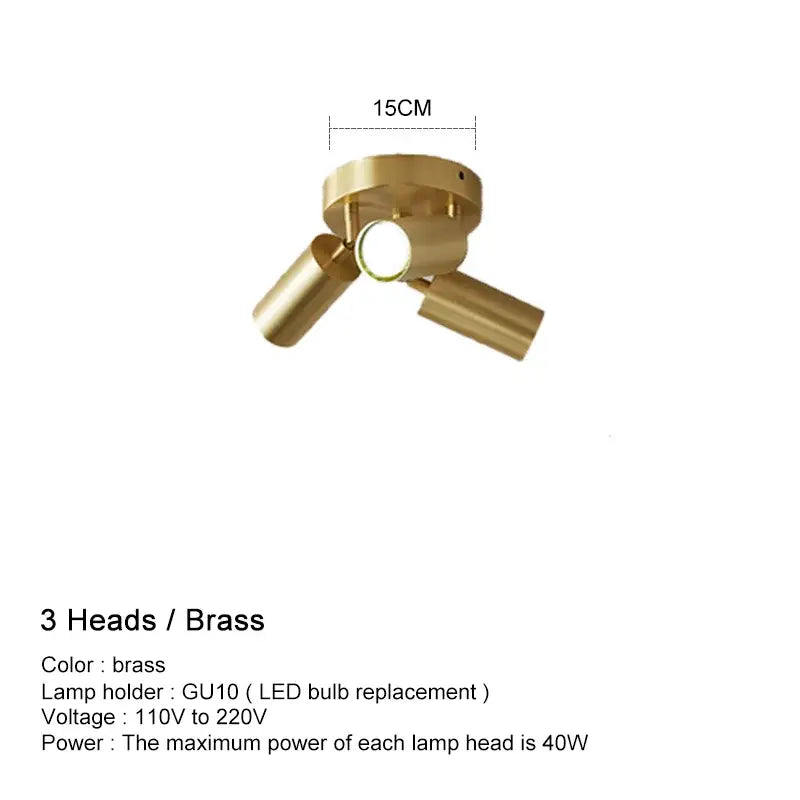Brass Adjustable Ceiling Light