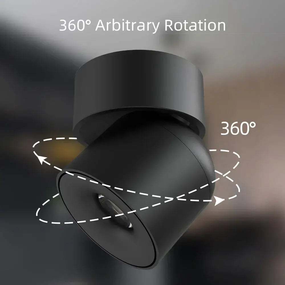 Black Adjustable LED Downlight