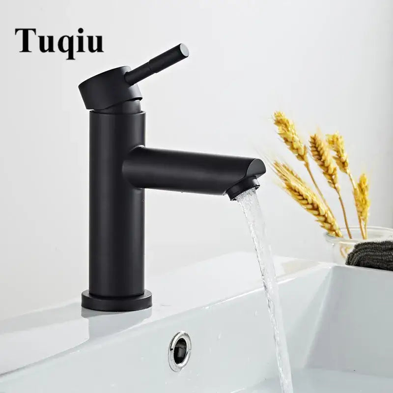 Black Stainless Basin Faucet