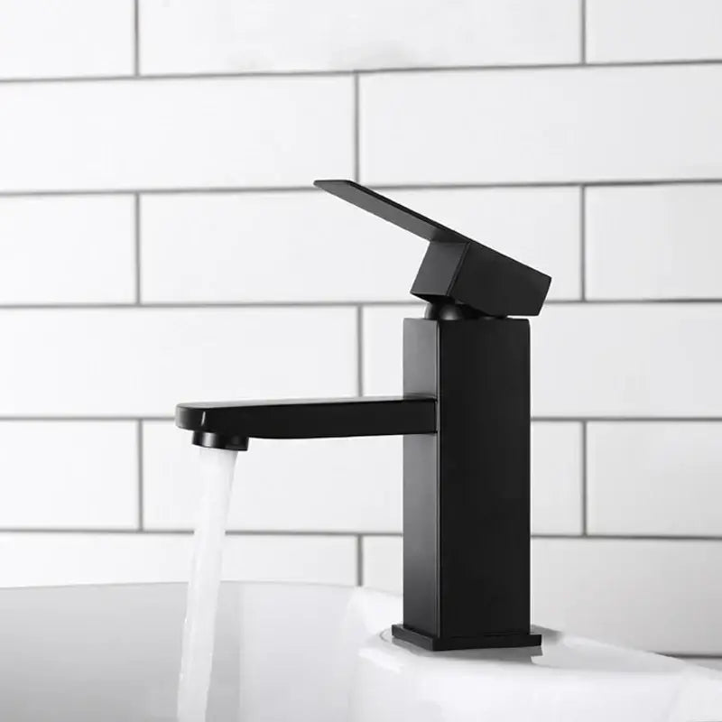 Black Single Handle Faucet with Hose