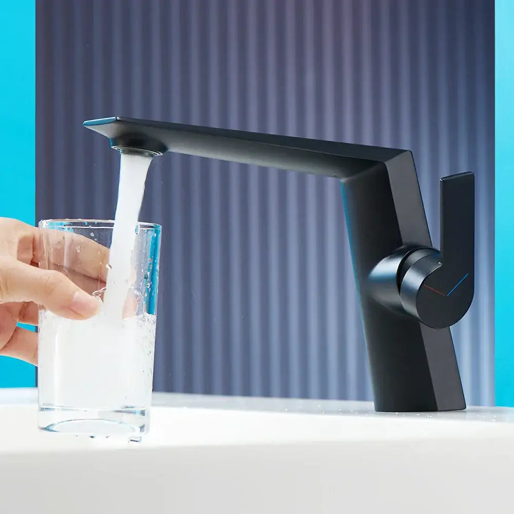 Black Handle Mixer Tap