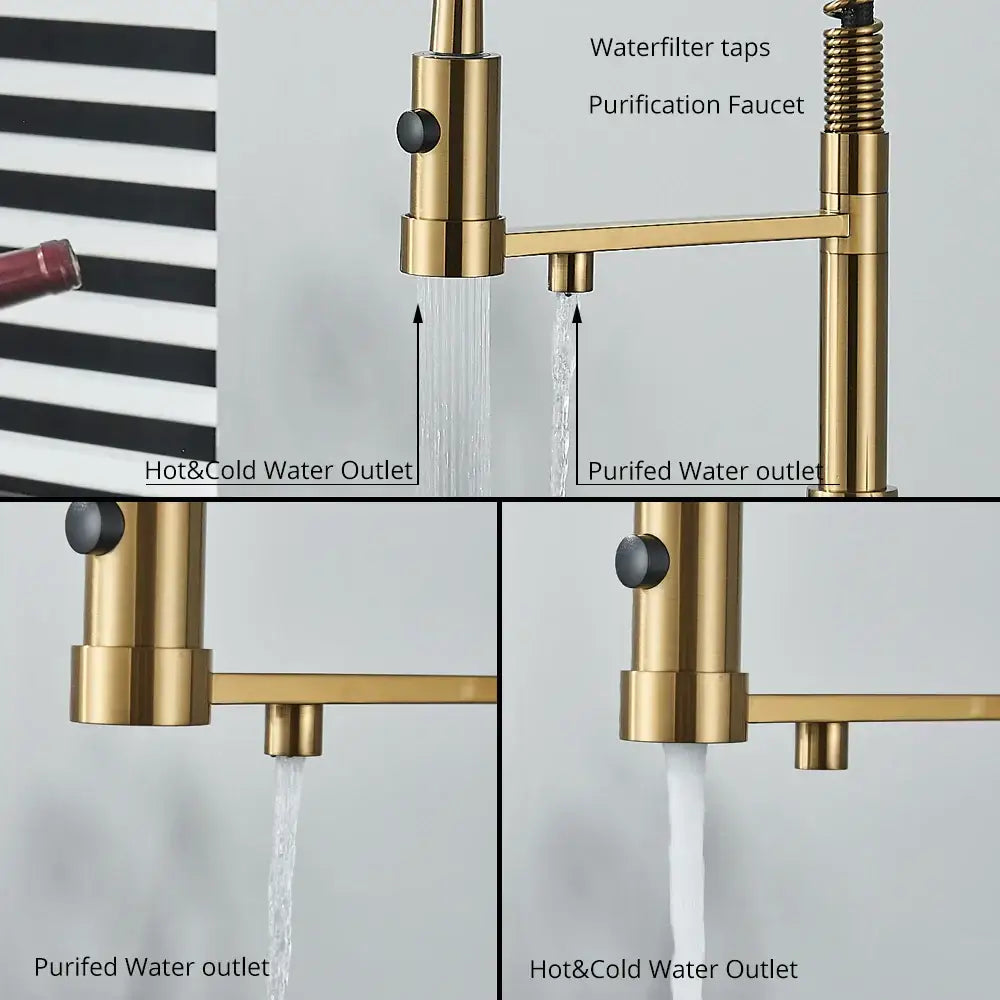 Black Gold Filter Faucet