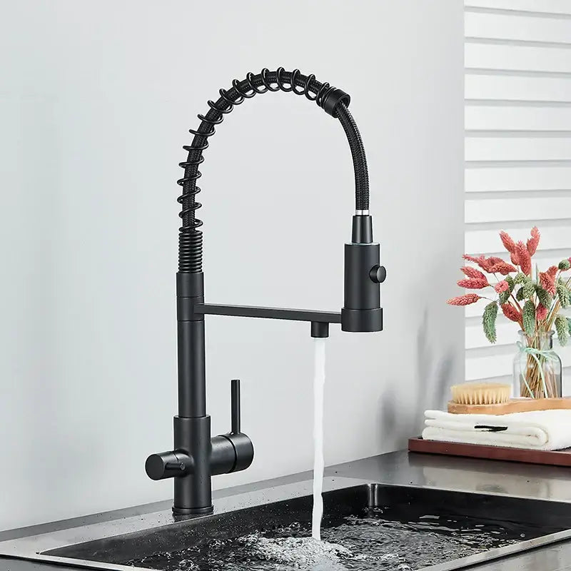 Black Gold Filter Faucet
