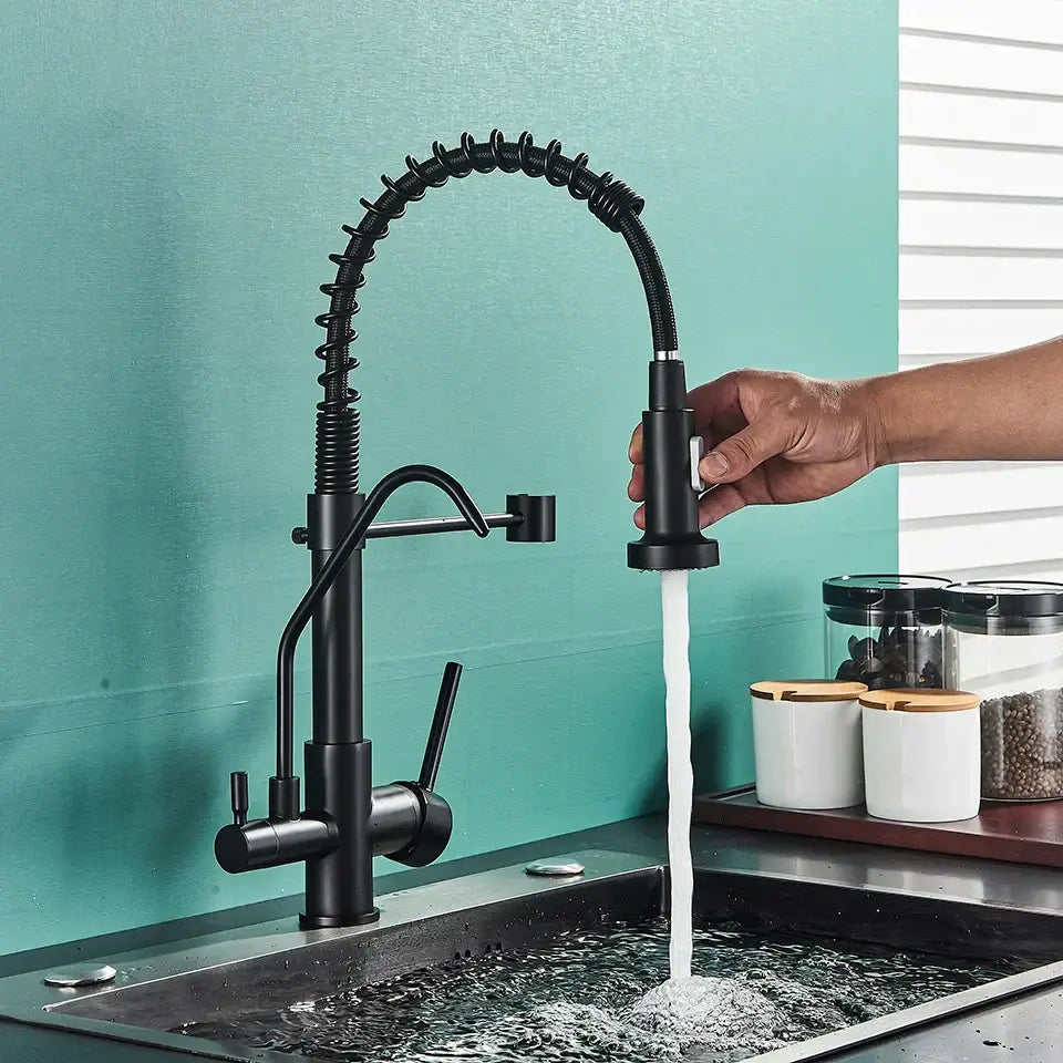 Black Dual Handle Kitchen Faucet