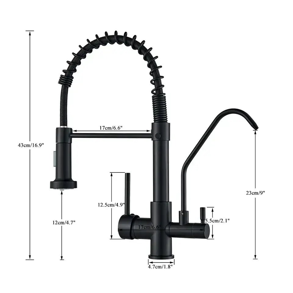 Black Dual Handle Kitchen Faucet
