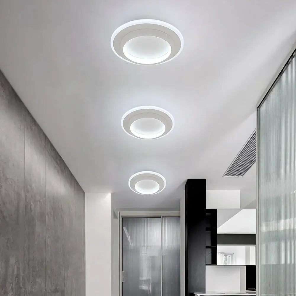 Black Acrylic Ceiling Lamp