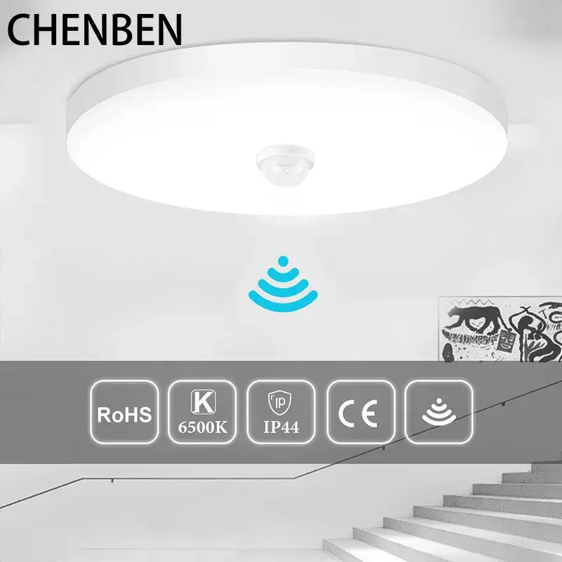 White Induction LED Ceiling Light