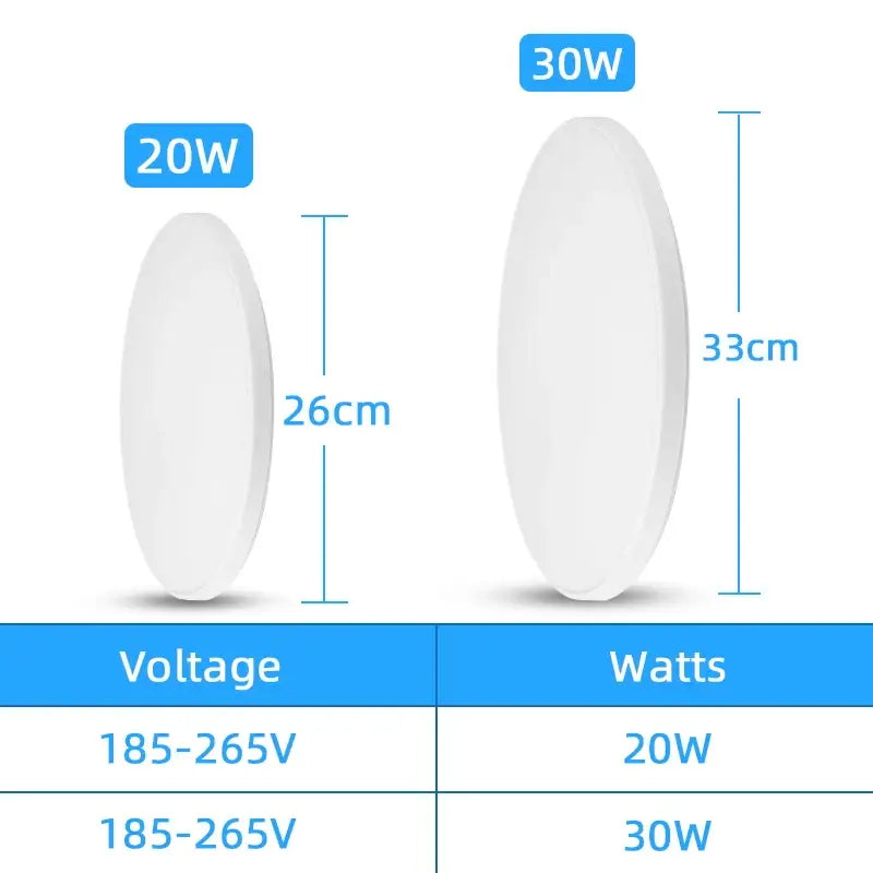 White Induction LED Ceiling Light